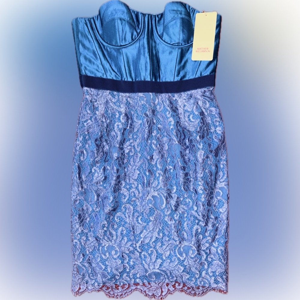 NWT Matthew Williamson Strapless Lace Mini Dress